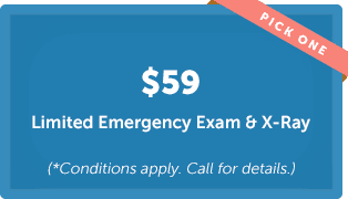 $59-dental-exam-Xray-offer.jpg