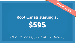 root-canals-min.jpg